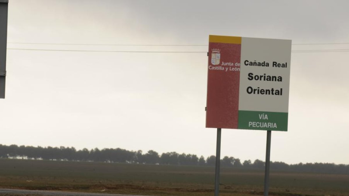 Cañada Real Soriana por la zona de Aldealafuente en una imagen de archivo.