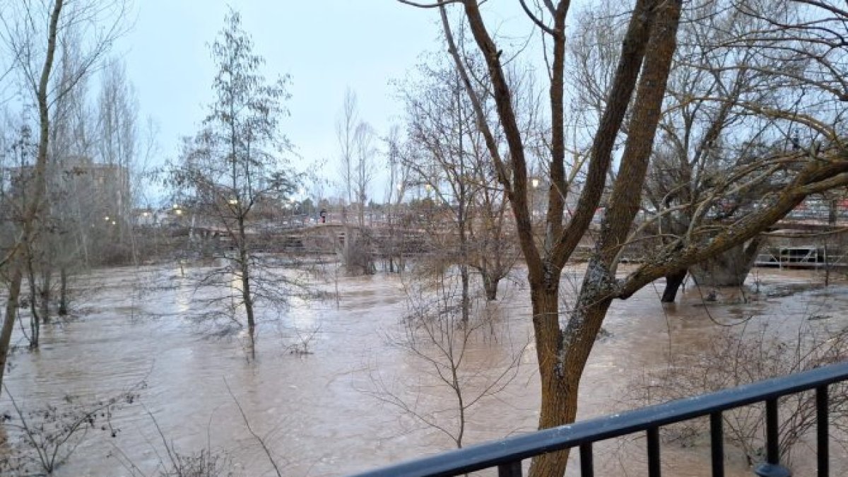 Crecida del río Duero en Almazán.