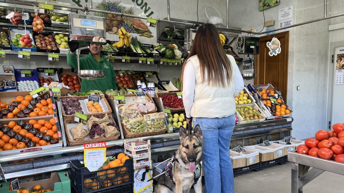 Un perro guía con su usuaria en una frutería.