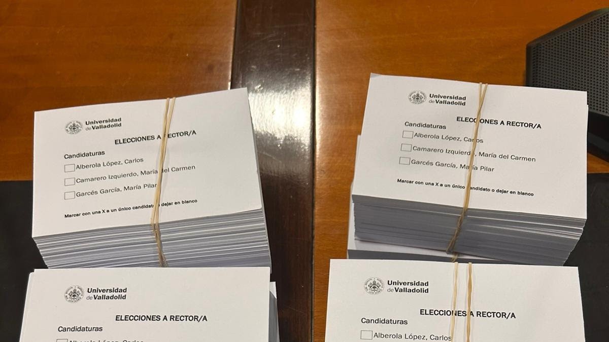 Papeletas para las elecciones al Rectorado de la UVA.