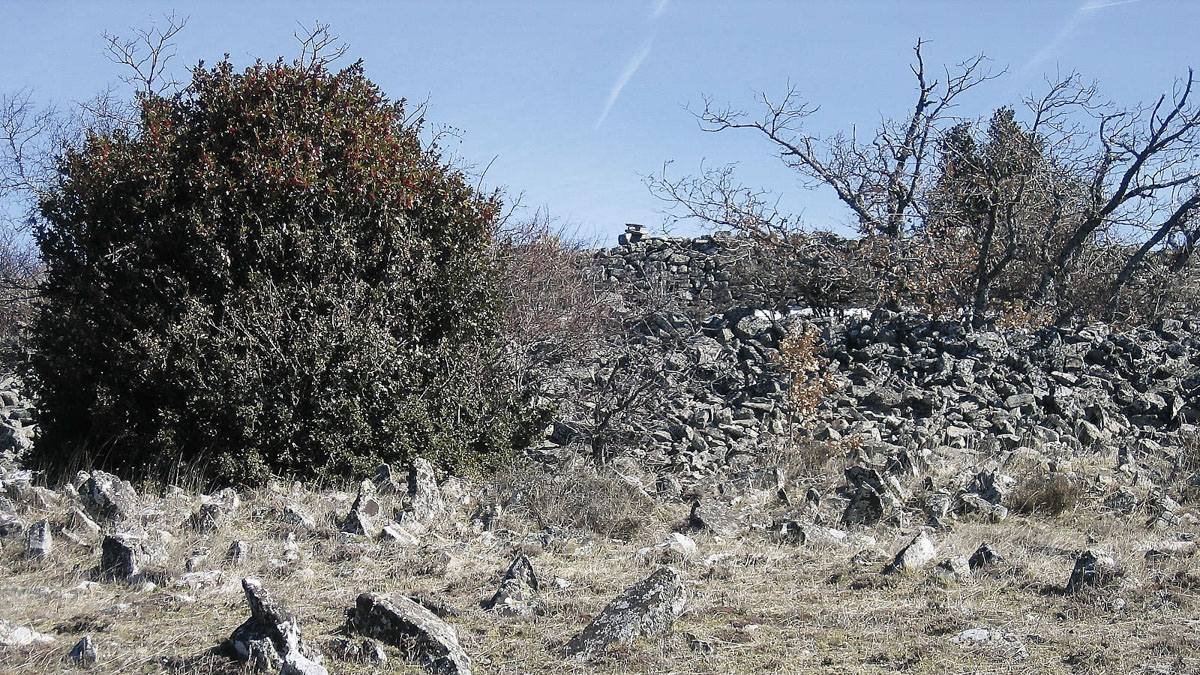 Las piedras hincadas del castro de Castilfrío formaban parte del sistema defensivo que utilizaban los pelendones para frenar ataques enemigos.