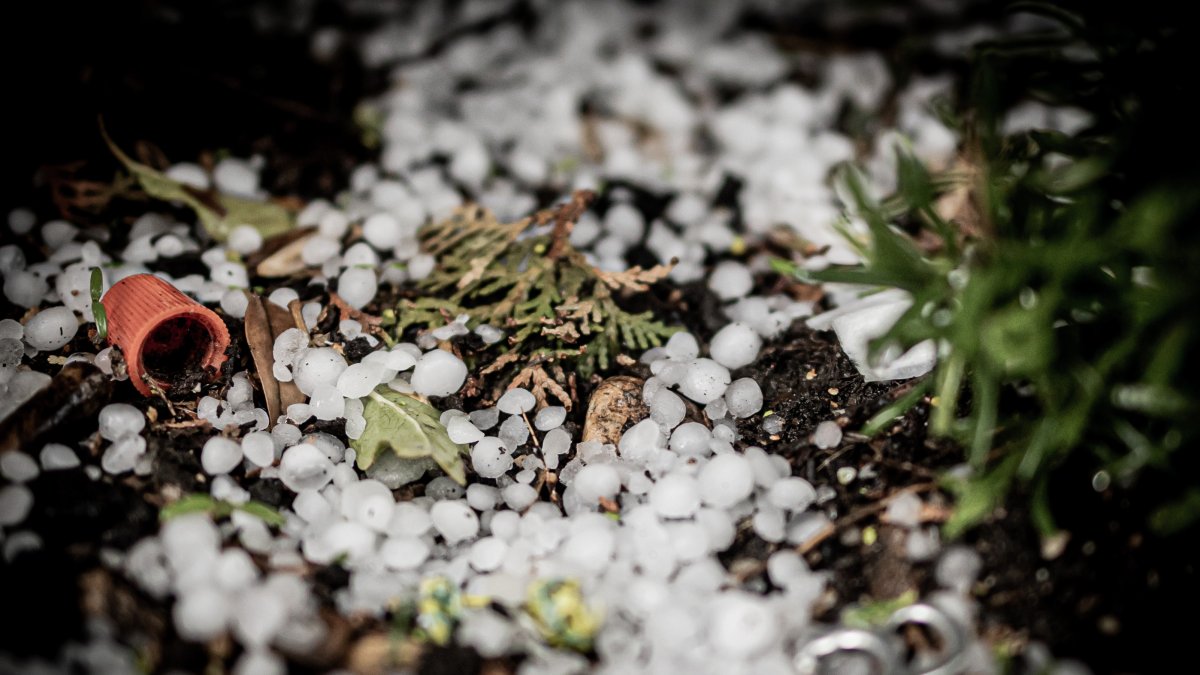 Pedrisco en una reciente granizada en Soria.