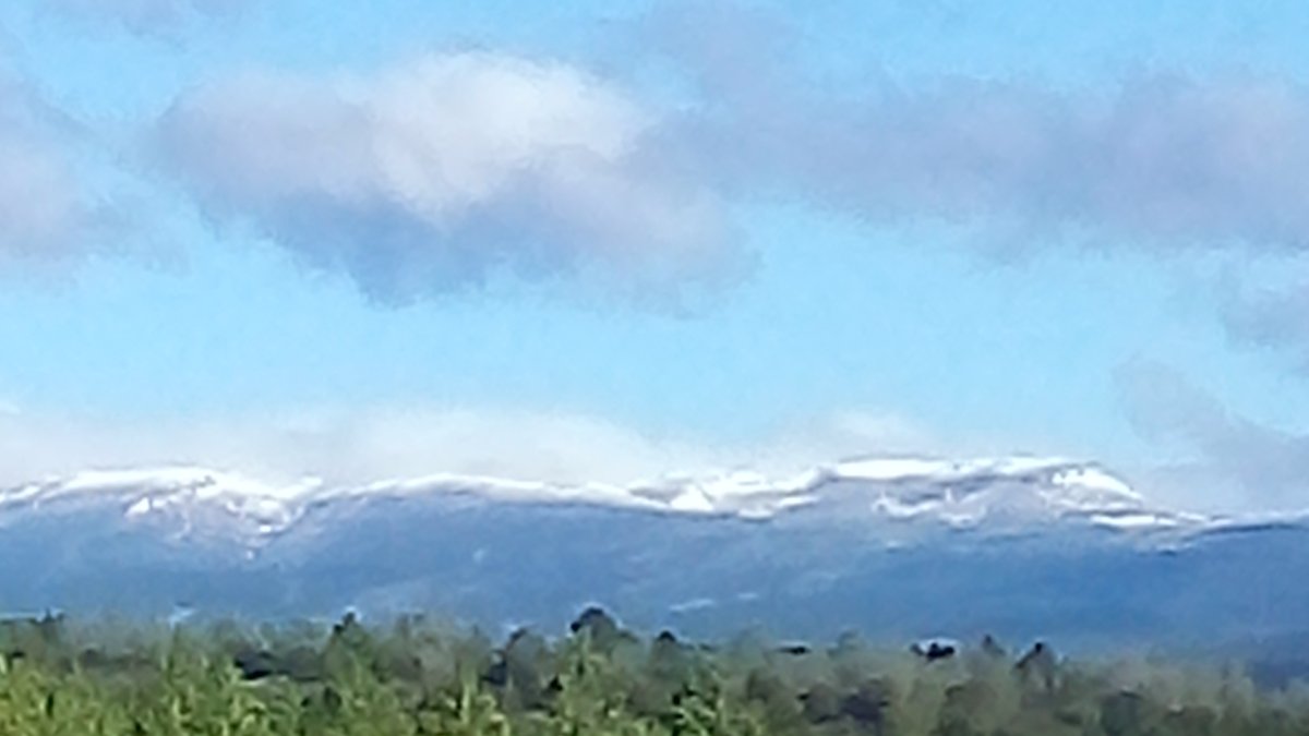 Nieve en Cebollera este viernes.