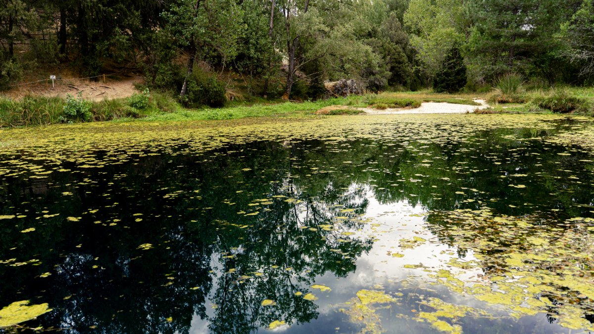 Reflejos naturales del bosque primaveral de La Fuentona