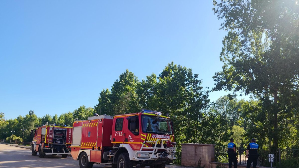 Los bomberos de la Diputación de Soria sofocan dos conatos de incendios en pelusa de chopo en Almazán.