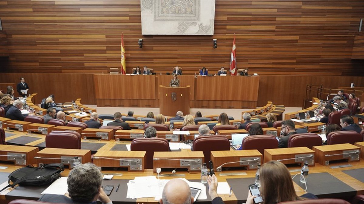 Pleno de las Cortes de Castilla y León.