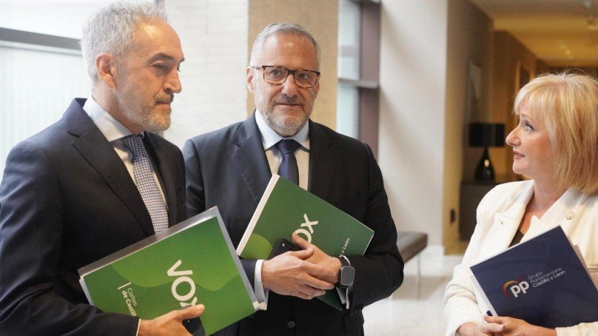 Alberto Díez Pico, Carlos Pollán y Leticia García, en una imagen de archivo en las Cortes.