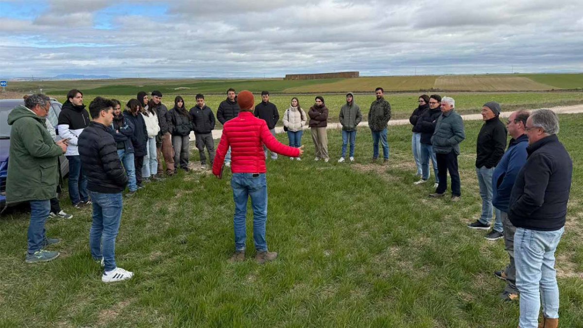 Asaja prueba en Soria una app para predecir el rendimiento del trigo.