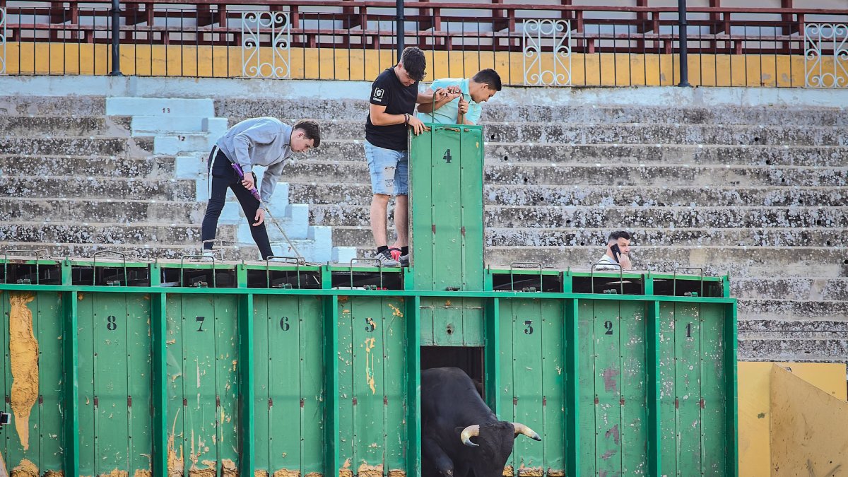 Puntualidad y trece toros en el coso de San Benito.
