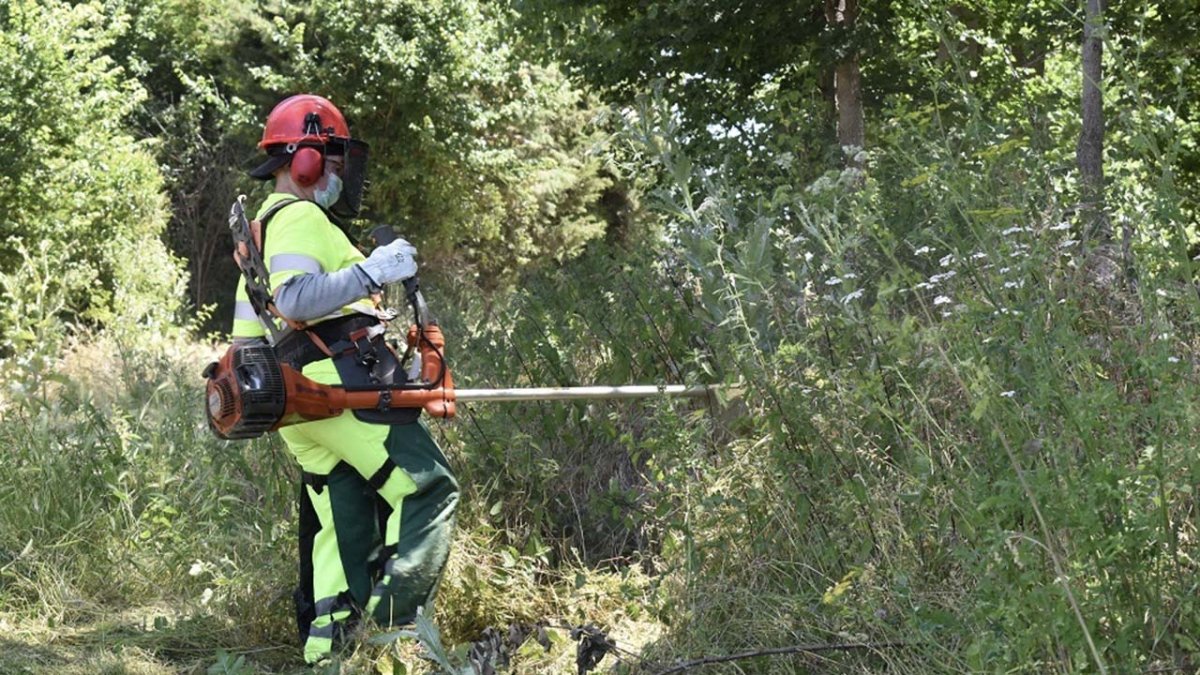 Trabajos contra incendios en un pueblo de Soria.