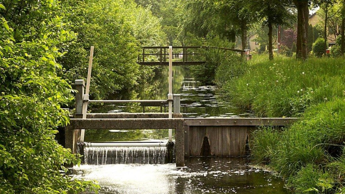 Canal de riego con tajadera para regular el acceso de agua.