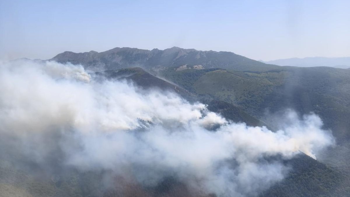 El incendio forestal a la llegada de la BRIF de Lubia.