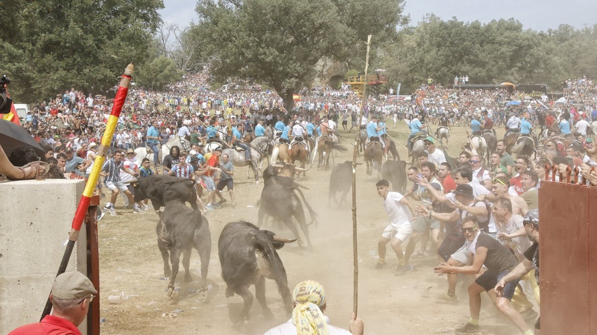 Salida de La Saca en Valonsadero en las fiestas de San Juan 2026.