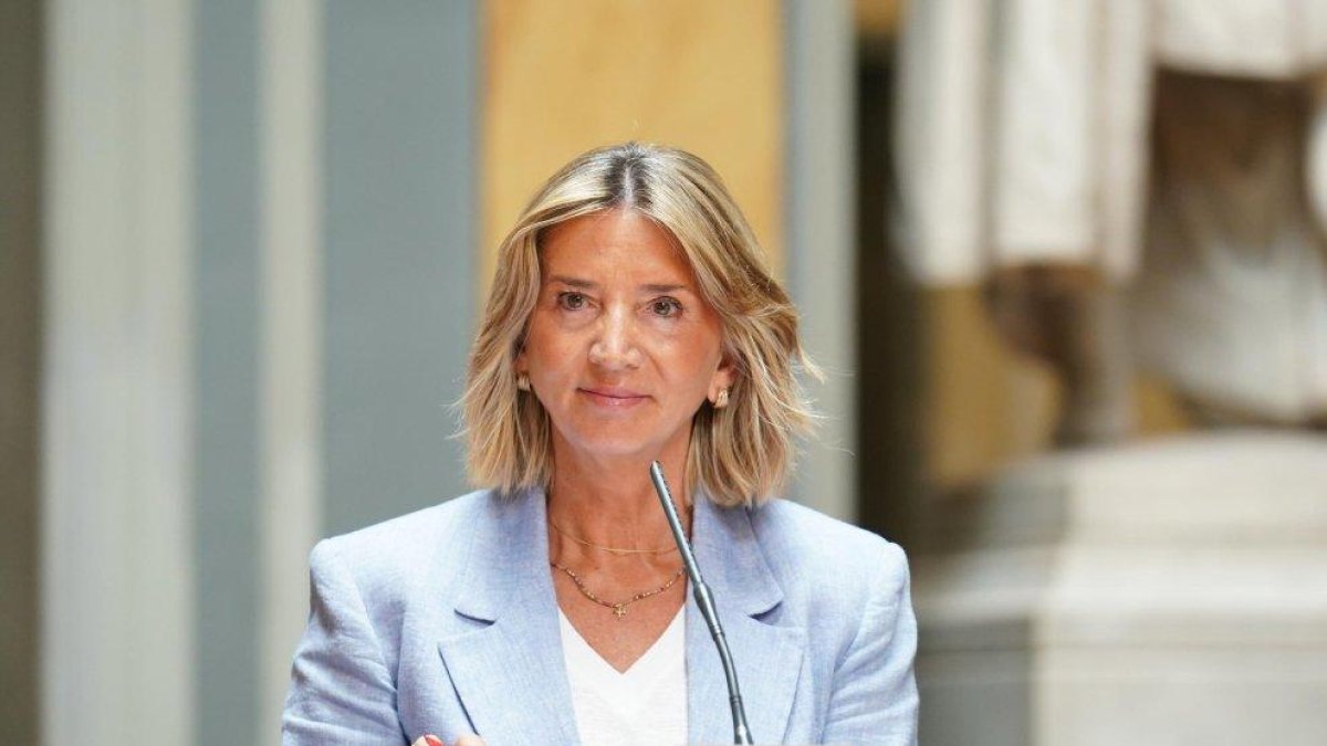 Alicia García, en una imagen en el Senado.