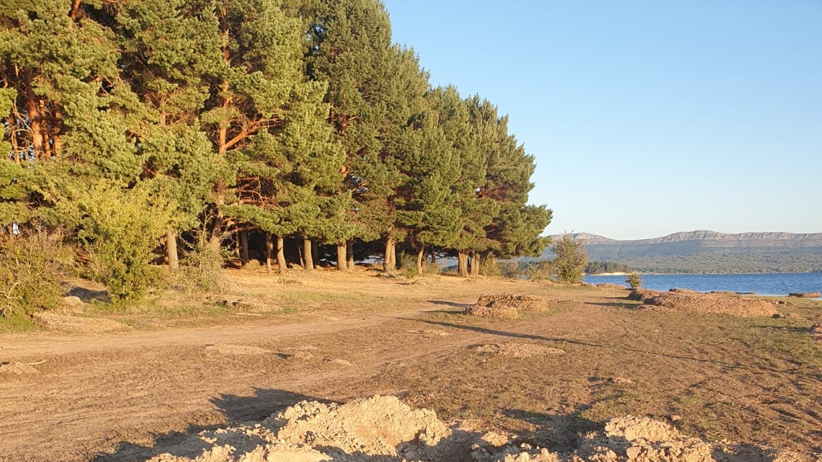Daños en el terreno junto al embalse de la Cuerda del Pozo que denuncia Asden.