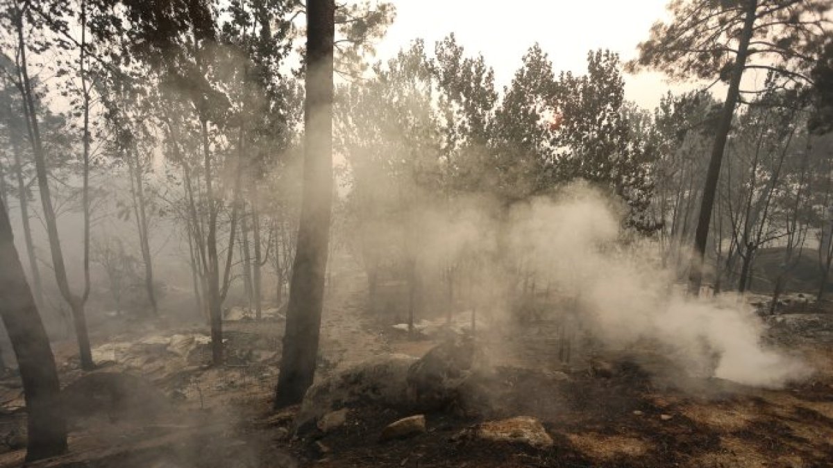 El incendio forestal de Burgohondo (Ávila).
