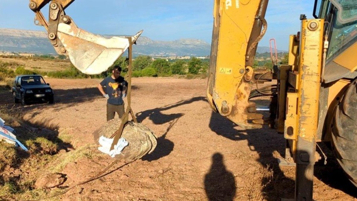 Extracción de la huella hallada.