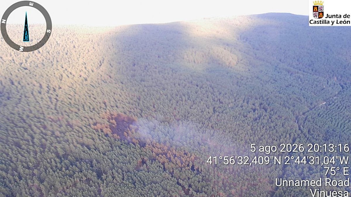 Incendio en el pinar de Vinuesa tras lograrse su estabilización.