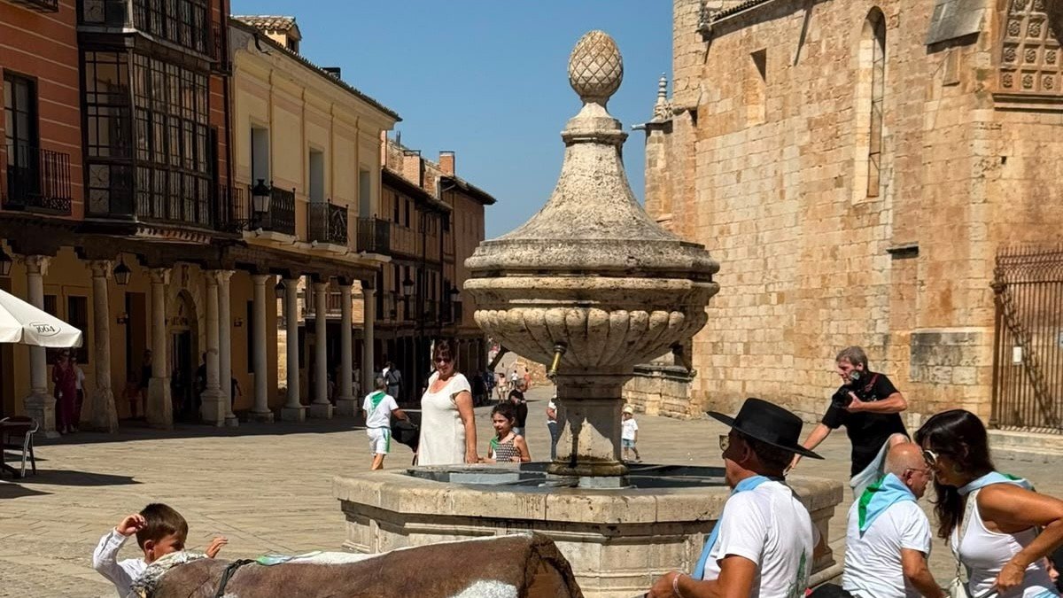 Encierros infantiles por San Roquito en El Burgo de Osma.