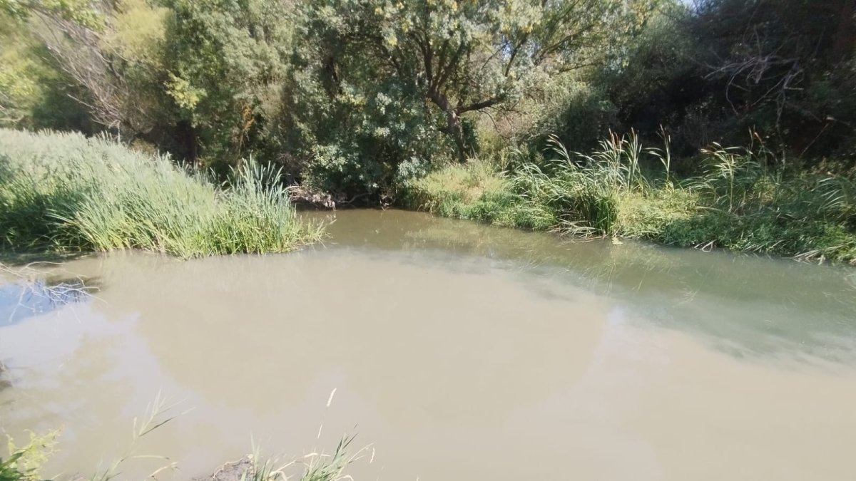 Estado en el que se encuentra el río Ucero en El Burgo.