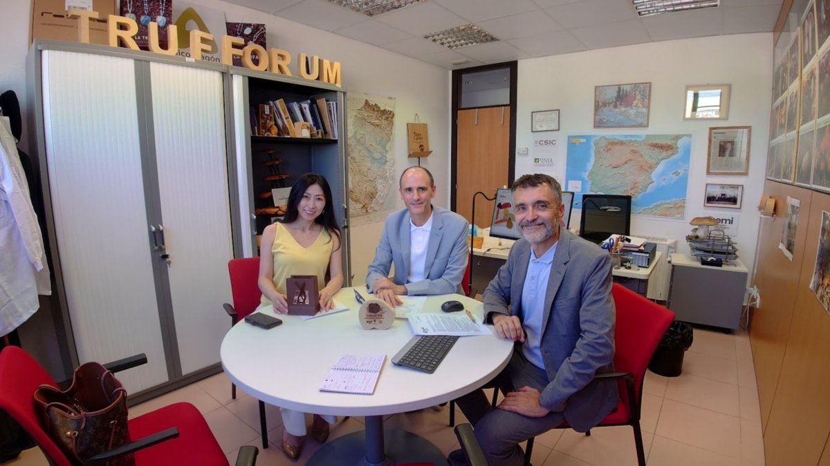 Fernando Martínez Peña y Joaquín Latorre, del EMI se reúnen con la responsable de la Japan Truffle Association, Tomomi Iwama.