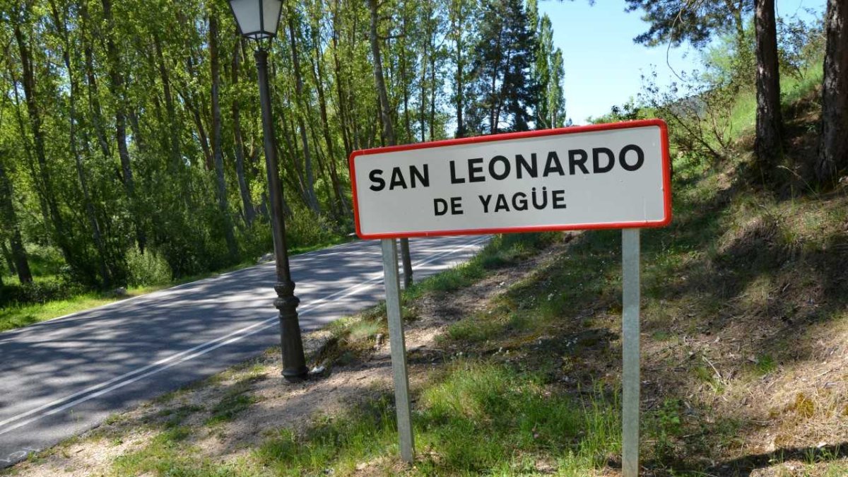 San Leonardo es uno de los municipios sorianos pinariegos que reparte suerte de pinos.