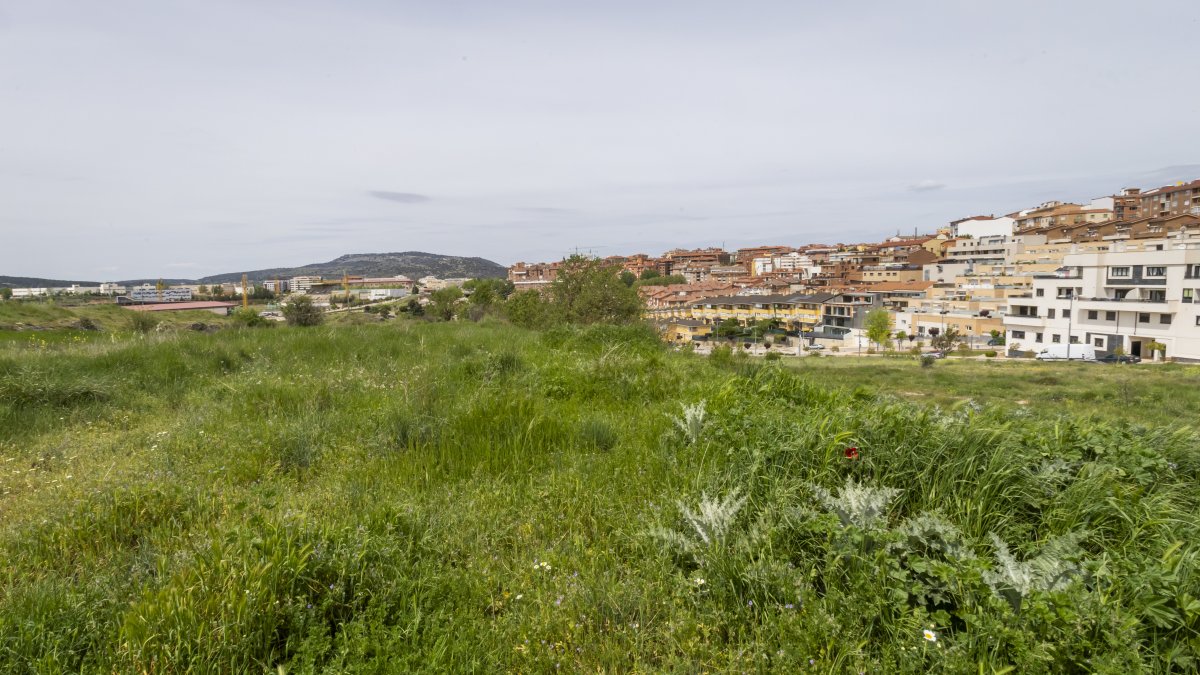 Terrenos en el sector del cerro de los Moros.