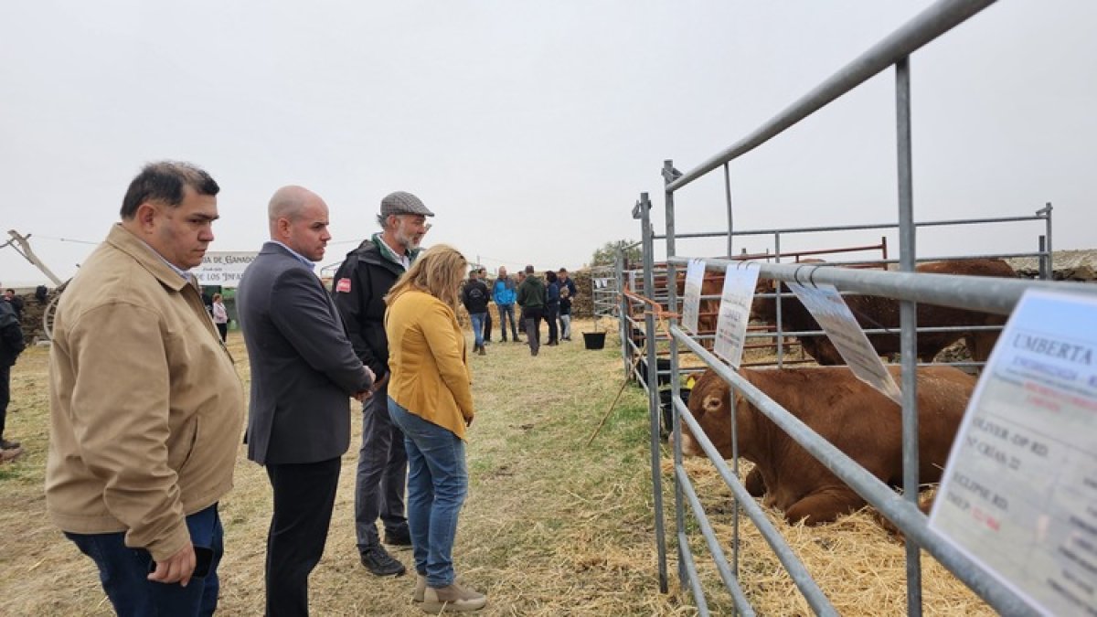 Visita a las instalaciones de la feria ganadera de Mirueña de los Infanzones en Ávila.