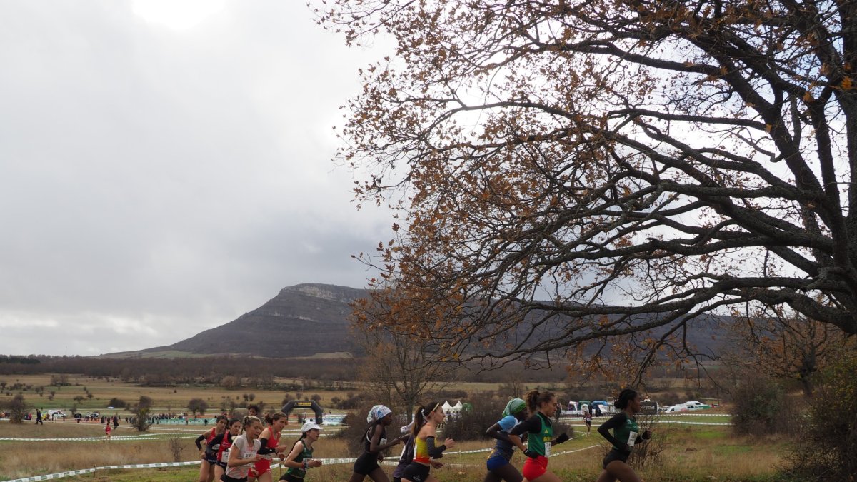Menos de un mes para la celebración del Cross de Soria