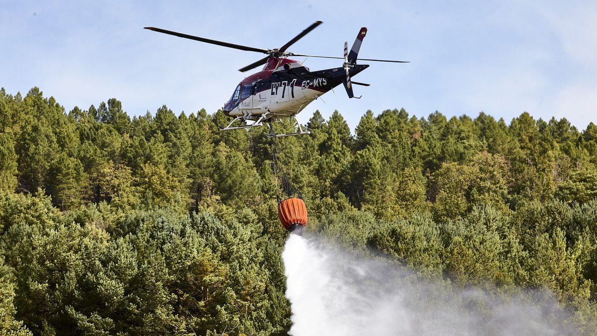 Integrantes de la ELIF de Garray realizan una demostración de su labor en la lucha contra incendios durante la Feria Cabforest de Carejas del Pinar.