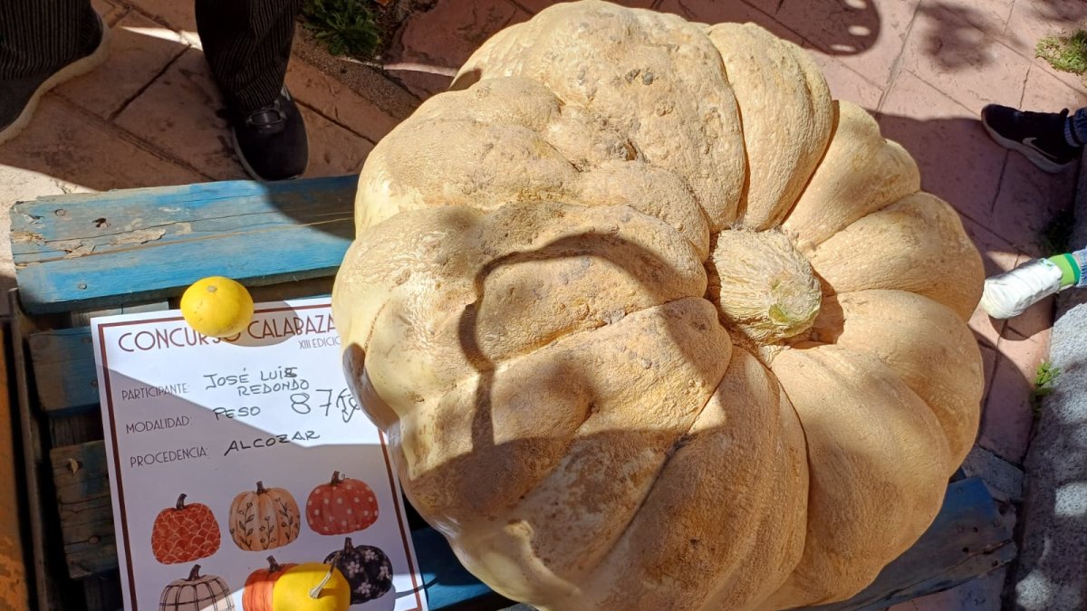 San Esteban de Gormaz disfruta de nuevo de su concurso de calabazas.