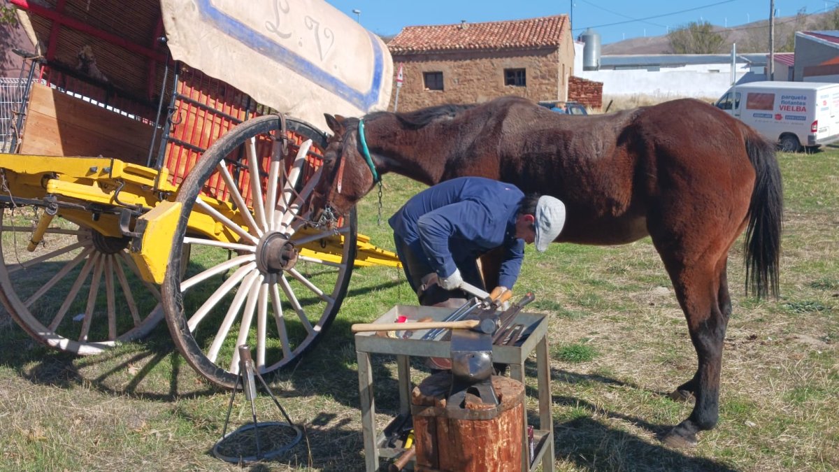 Una de las demostraciones celebradas este domingo en Borobia.