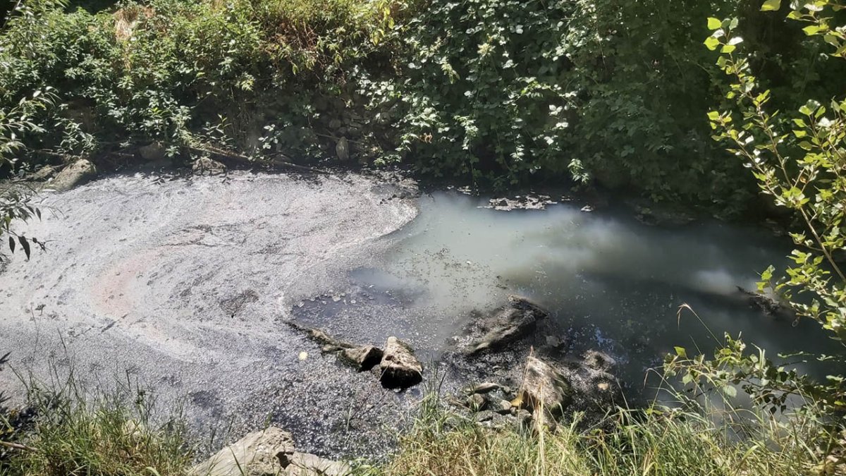 Aguas del río Linares en una imagen facilitada por ASDEN.