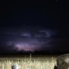 Rayos sobre un campo de cultivo en plena tormenta.