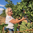Nueva bodega ubicada en el corazón de la Ribera del Duero soriana
