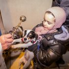 Una tradición para proteger a los animales