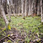 Un recorrido espectacular en estas épocas