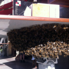 Enjambre de abejas ayer bajo la mesa de una cafetería del Collado. / JORGE CHICHARRO-