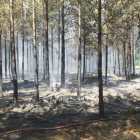 Superficie quemada en el incendio de Pinares. HDS