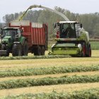 Un agricultor realiza labores de cosecha de forrajes en Palencia.-BRÁGIMO