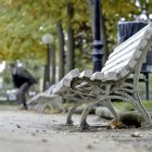 Un mayor en el parque de la Dehesa.-HDS