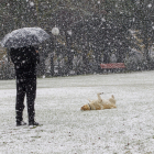 Una persona se resguarda de la nieve con un paraguas en Soria la pasada semana. MARIO TEJEDOR