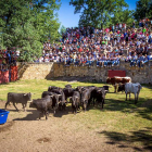 Los Toros del Jueves la Saca ya están en Valonsadero - MARIO TEJEDOR (26)