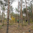 Recolectores cogiendo setas en montes de Soria.-D.M.