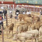 Imagen de una feria ganadera en la plaza de toros.