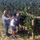 Explotación de Bodegas Postín, en Zayas de Báscones.