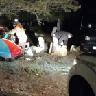 Desalojo de recolectores de setas acampados de forma ilegal en Soria.