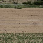 Finca agrícola en la zona del Moncayo.