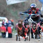 El mejor mushing del mundo tendrá lugar la próxima semana en Ólvega.