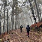 Un bosque de rebollo.